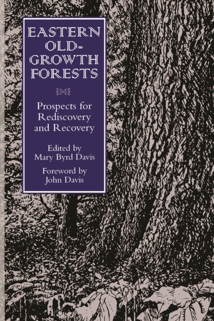 Eastern Old-Growth Forests : Prospects For Rediscovery And Recovery, EPUB eBook