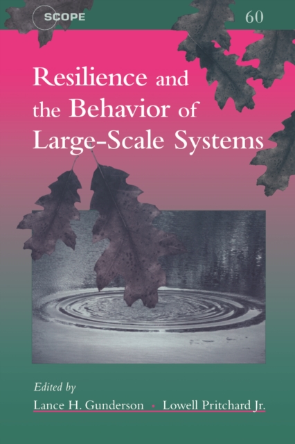 Resilience and the Behavior of Large-Scale Systems, EPUB eBook