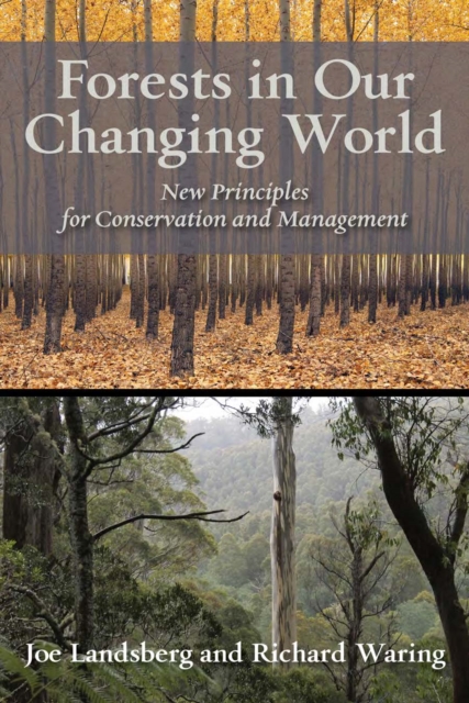 Forests in Our Changing World : New Principles for Conservation and Management, Paperback / softback Book