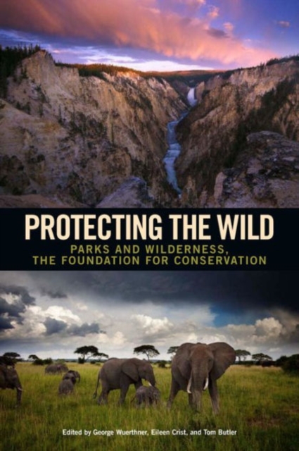 Protecting the Wild : Parks and Wilderness, the Foundation for Conservation, Paperback / softback Book