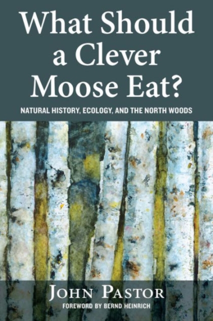 What Should a Clever Moose Eat? : Natural History, Ecology, and the North Woods, Paperback / softback Book