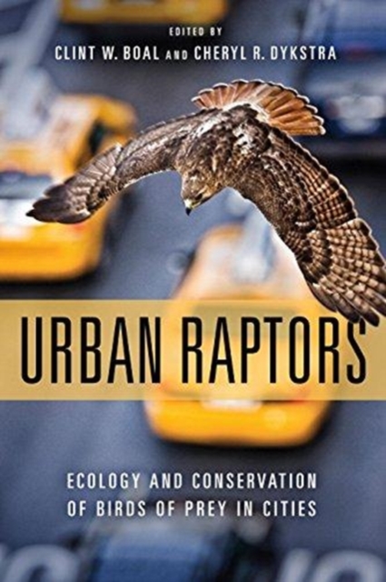 Urban Raptors : Ecology and Conservation of Birds of Prey in Cities, Hardback Book