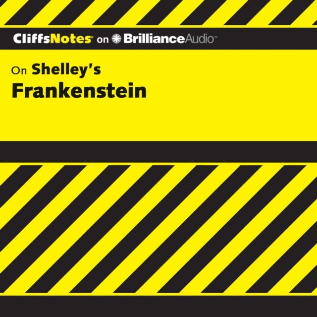 Frankenstein, eAudiobook MP3 eaudioBook