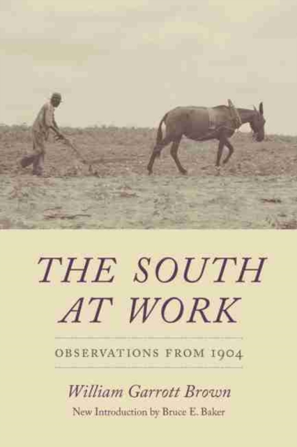 The South at Work : Observations from 1904, Paperback / softback Book