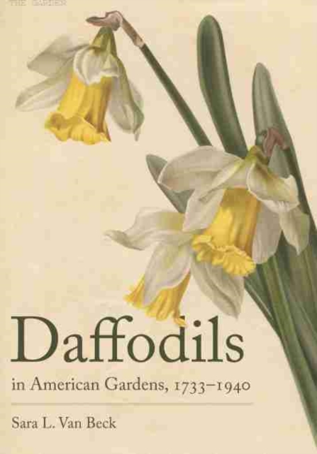 Daffodils in American Gardens, 1733-1940, Hardback Book