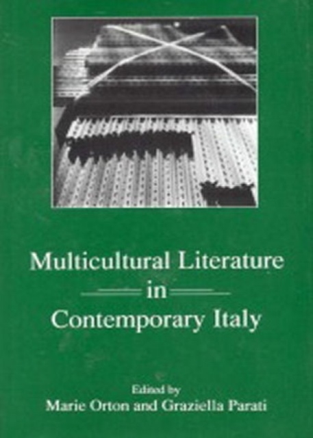 Multicultural Literature in Contemporary Italy, Hardback Book