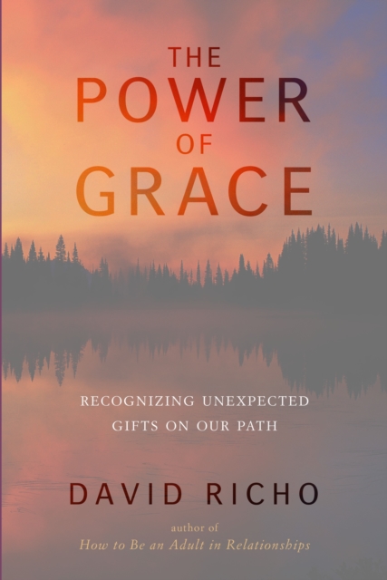 The Power of Grace : Recognizing Unexpected Gifts on Our Path, Paperback / softback Book
