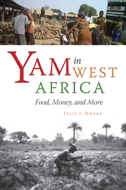 Yam in West Africa : Food, Money, and More, Paperback / softback Book