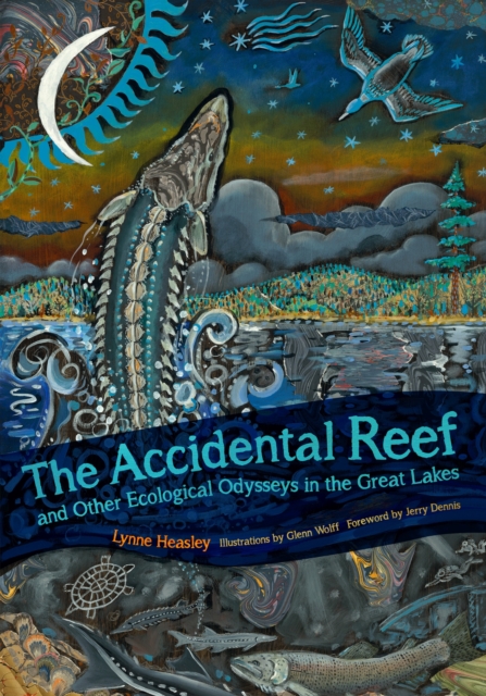 The Accidental Reef and Other Ecological Odysseys in the Great Lakes, Paperback / softback Book