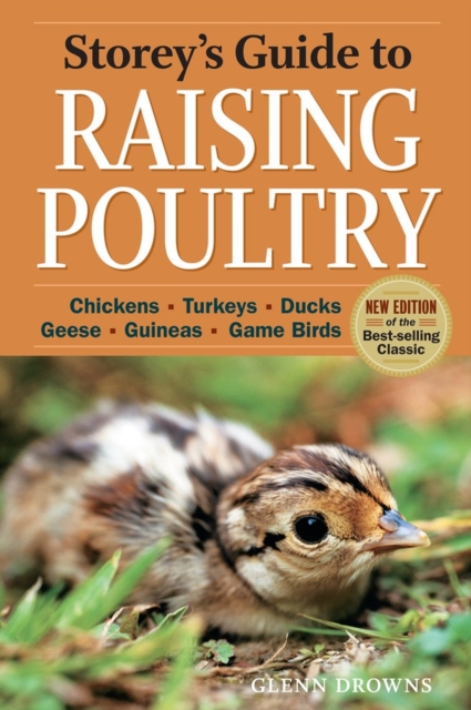 Storey's Guide to Raising Poultry, 4th Edition : Chickens, Turkeys, Ducks, Geese, Guineas, Game Birds, Paperback / softback Book