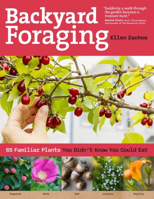 Backyard Foraging : 65 Familiar Plants You Didn’t Know You Could Eat, Paperback / softback Book