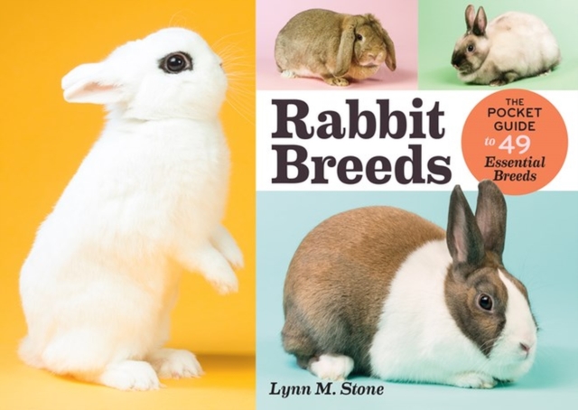 Rabbit Breeds : The Pocket Guide to 49 Essential Breeds, Paperback / softback Book
