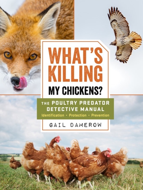What's Killing My Chickens? : The Poultry Predator Detective Manual, Paperback / softback Book