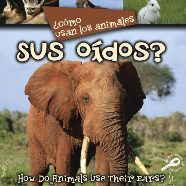 Como usan los animales... sus oidos? : Their Ears?, PDF eBook