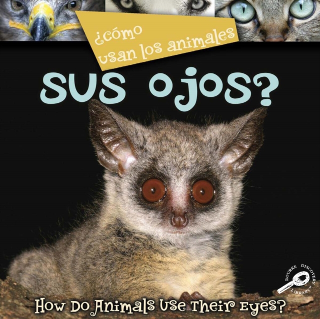 Como usan los animales... sus ojos? : Their Eyes?, PDF eBook