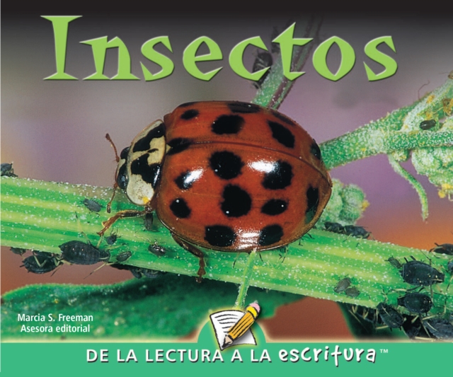 Insectos : Insects, PDF eBook