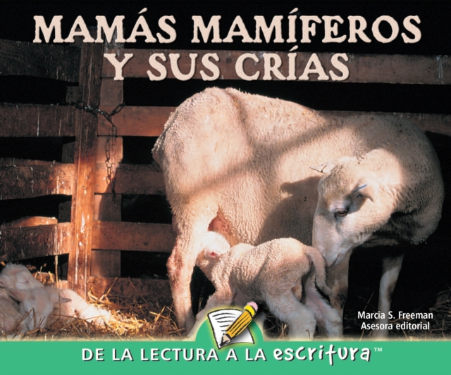 Mamas mamiferos y sus crias : Mammal Moms and Their Young, PDF eBook
