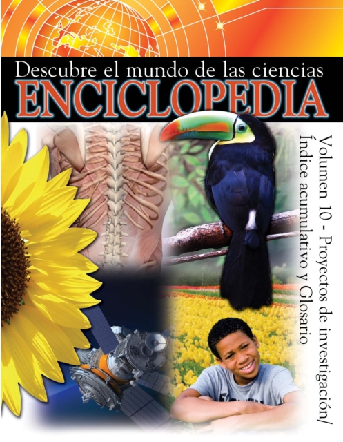 Proyectos De Investigacion/ Indice Acumulative Y Glosario : Index and Research Projects, PDF eBook