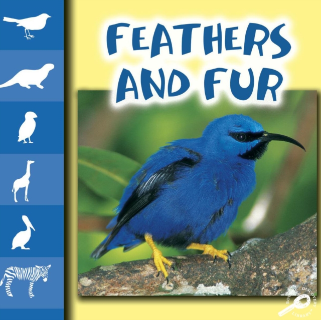 Feathers and Fur, PDF eBook