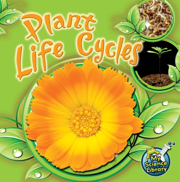 Plant Life Cycles, PDF eBook