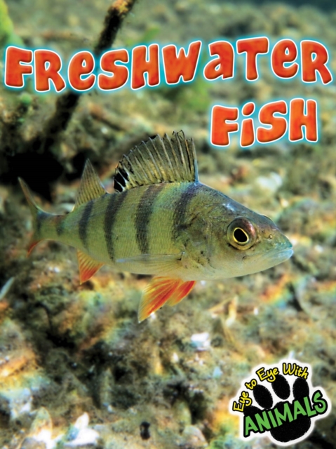 Freshwater Fish, PDF eBook