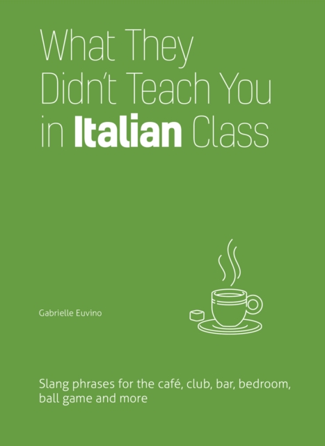 What They Didn't Teach You in Italian Class : Slang Phrases for the Cafe, Club, Bar, Bedroom, Ball Game and More, EPUB eBook
