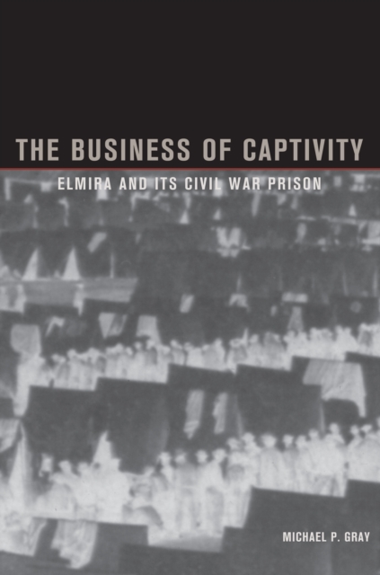 The Business of Captivity, EPUB eBook