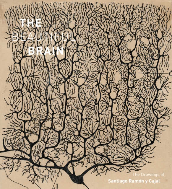 The Beautiful Brain : The Drawings of Santiago Ramon y Cajal, EPUB eBook