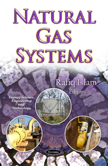 Natural Gas Systems, Paperback / softback Book
