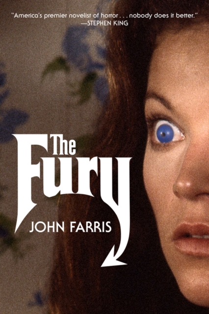 The Fury : A Novel, Paperback / softback Book