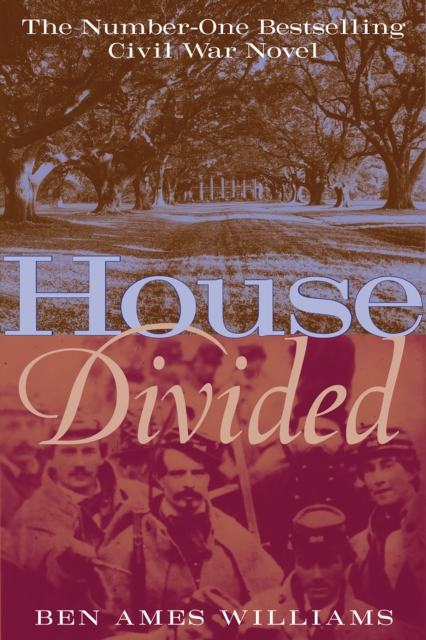 House Divided, EPUB eBook