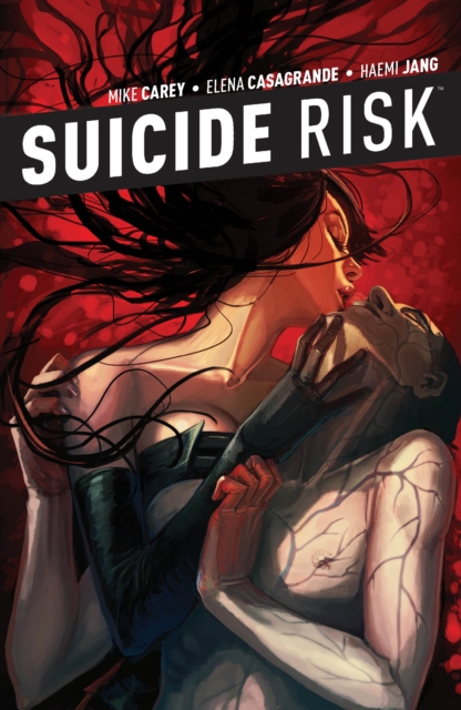 Suicide Risk Vol. 5, EPUB eBook