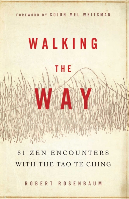 Walking the Way : 81 Zen Encounters with the Tao Te Ching, EPUB eBook