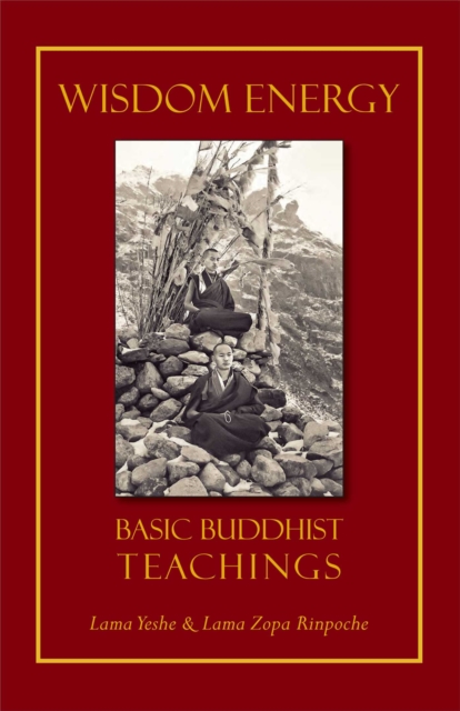 Wisdom Energy : Basic Buddhist Teachings, EPUB eBook