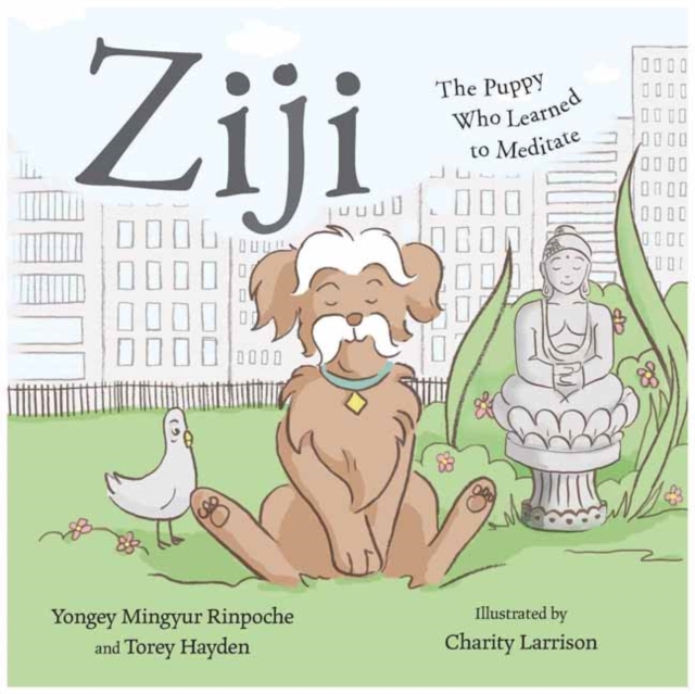 Ziji : The Puppy Who Learned to Meditate, Hardback Book