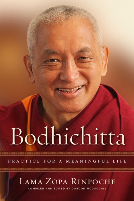Bodhichitta : Practice for a Meaningful Life, EPUB eBook