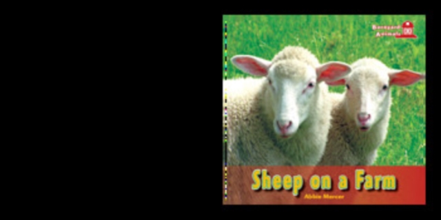 Sheep on a Farm, PDF eBook