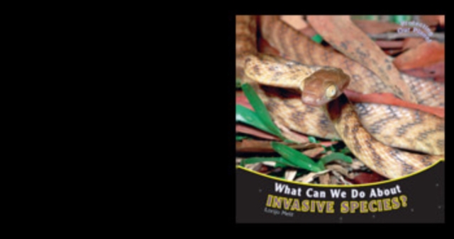 What Can We Do About Invasive Species?, PDF eBook