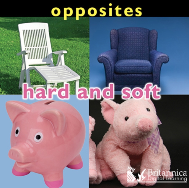 Opposites : Hard and Soft, PDF eBook