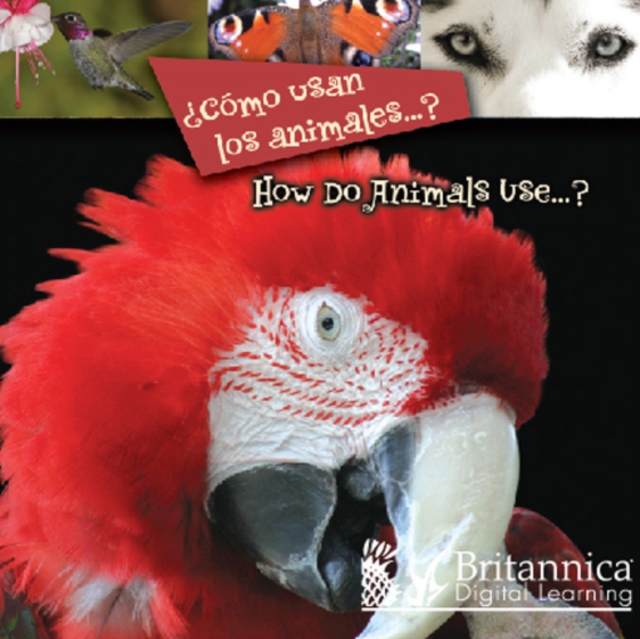 ?Como usan los animales...? (How Do Animals Use...?), PDF eBook