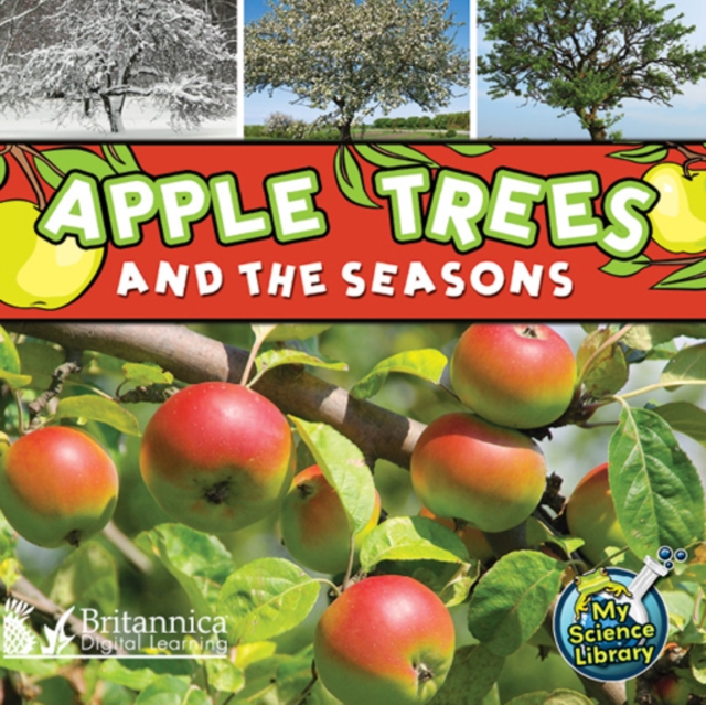 Apple Trees and the Seasons, PDF eBook