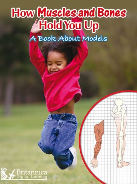 How Muscles and Bones Hold You Up : A Book About Models, PDF eBook