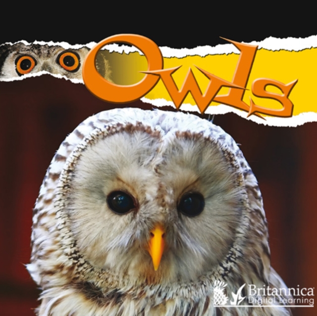 Owls, PDF eBook