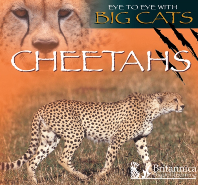 Cheetahs, PDF eBook