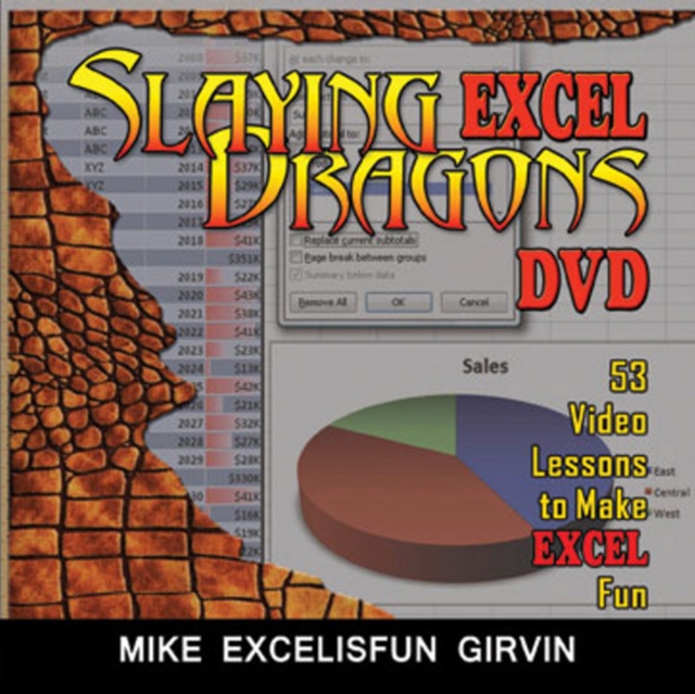 Slaying Excel Dragons DVD, DVD Audio Book