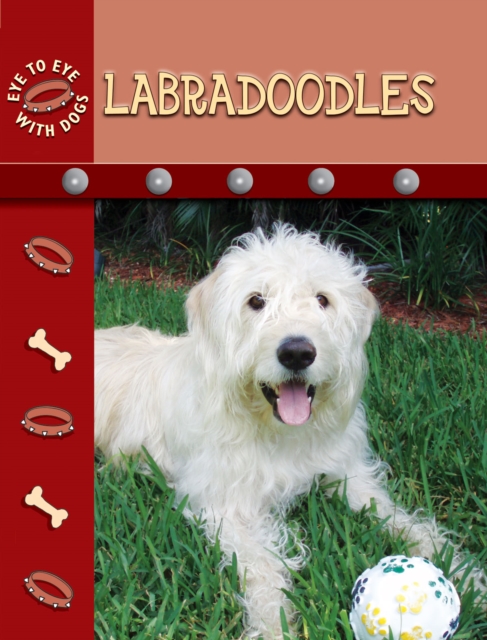 Labradoodles, PDF eBook