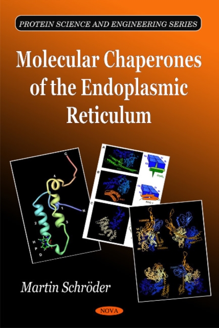 Molecular Chaperones of the Endoplasmic Reticulum, Paperback / softback Book