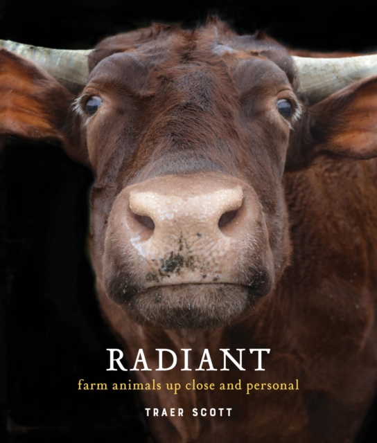 Radiant : Farm Animals Up Close and Personal, EPUB eBook