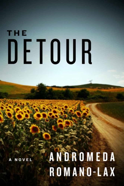 The Detour : A Novel, Hardback Book
