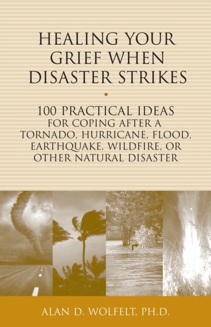Healing Your Grief When Disaster Strikes : 100 Practical Ideas for Coping After a Tornado, Hurricane, Flood, Earthquake, Wildfire, or Other Natural Disaster, Paperback / softback Book